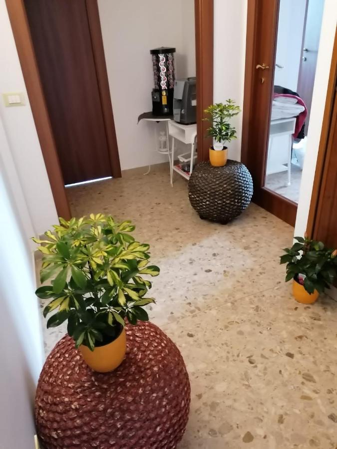 Giuseppe House Apartamento Pisa Exterior foto